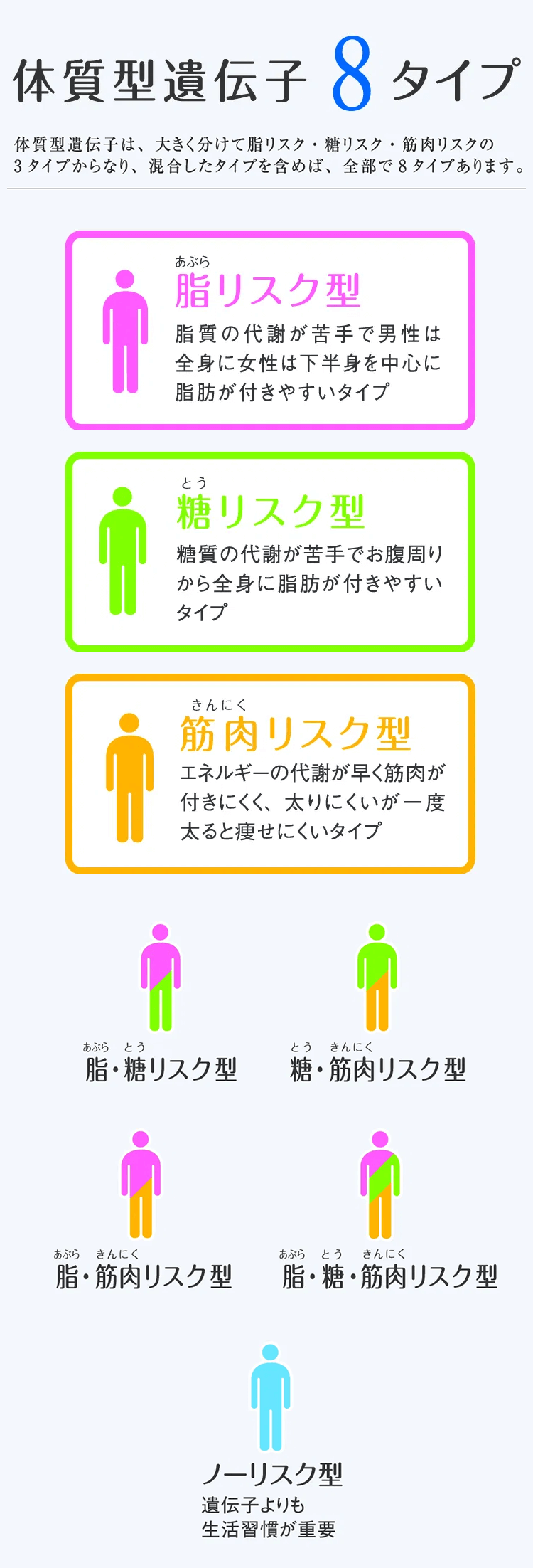 体質型遺伝子８タイプ