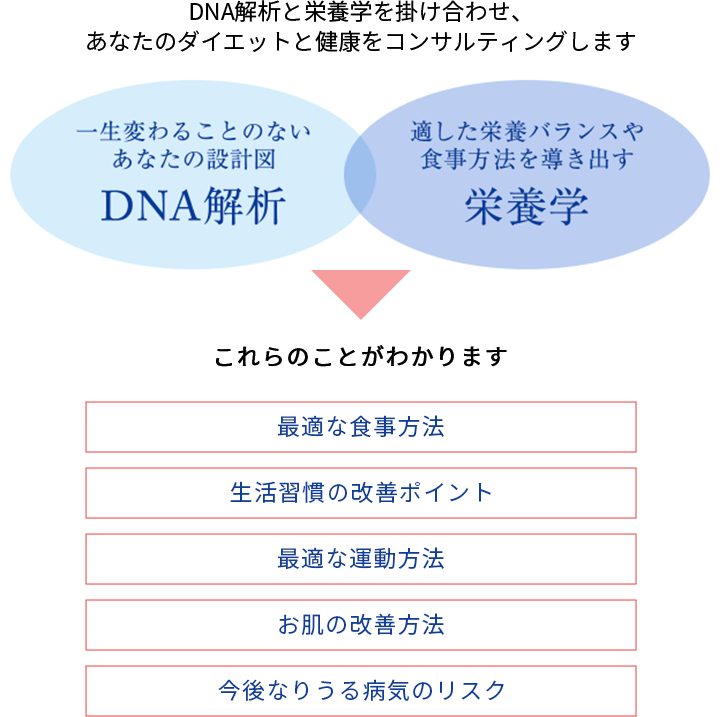 DNA解析、栄養学プ